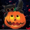 HALLOWEEN NIGHT BLANCA AT 15