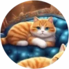 Gatitos tiernos💞4🇵🇪Movi 13