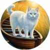Gatitos tiernos💞4🇵🇪Movi 14