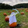 🦇🎃👻SPOOKY SEASON 2👻🎃🦇 16