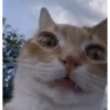 ️Tik tok mov 3 ️ 13
