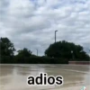 ️Tik tok mov 5 ️ 20