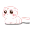 Nai Xi kitten 1 .MOV 10