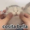 ️Tik tok mov 3 ️ 15