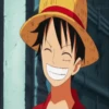 One Piece ☠ Monkey D Luffy Mov 17
