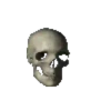 Skulls and bones 💀🦴 + 1 18