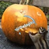 🦇🎃👻SPOOKY SEASON 2👻🎃🦇 18