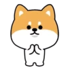 Mameshiba Dog MOV. 17