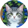 Gatitos tiernos💞4🇵🇪Movi 16
