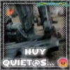 Halo 1 Movi 16