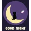 BUENAS NOCHES 2 14