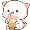 lovely kitties~ o 3o 18