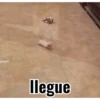 ️Tik tok mov 3 ️ 17