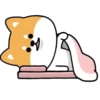 Mameshiba Dog MOV. 19
