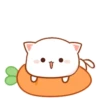 MOCHIS CAT Extra"I" MOV 19