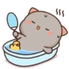 MOCHIS🐈CAT Extra"V" MOV 16