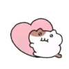 ️Yami hamster MOV 9