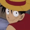 One Piece ☠ Monkey D Luffy Mov 22