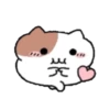 ️Yami hamster MOV 10