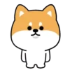 Mameshiba Dog MOV. 21