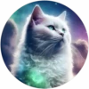 Gatitos tiernos💞4🇵🇪Movi 21