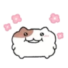 ️Yami hamster MOV 11