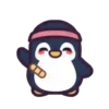 pingui blue RC 23