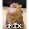 ️Tik tok mov 5 ️ 26