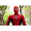 spiderman 21