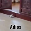 ️Tik tok mov 3 ️ 21