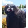 ️Tik tok mov 5 ️ 27