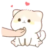 lovely cat miao mov 20