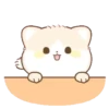 lovely cat miao mov 22