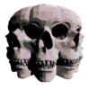 Skulls and bones 💀🦴 + 1 26