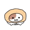 ️Yami hamster MOV 14