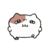 ️Yami hamster MOV 15