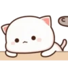 MOCHIS CAT Extra"I" MOV 23