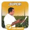 CUMPLIMIENTO 12