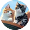 Gatitos tiernos💞4🇵🇪Movi 27