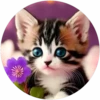 Gatitos tiernos💞4🇵🇪Movi 28