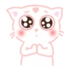 Nai Xi kitten 1 .MOV 19