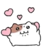 ️Yami hamster MOV 19
