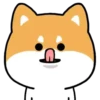 Mameshiba Dog MOV. 24