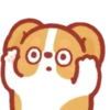 Corgi KaKa 3 -b 💖MOV 20