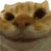 7tv Emotes for WhatsApp v2 ~FxF 30
