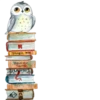 Books 📖 ❥☯︎ͫ 1 🇲🇽 7