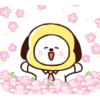 BT21 Fast Friends MOV. 5