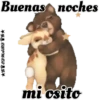 Amorosos 8