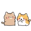 Gatitos lindos MOV. 15