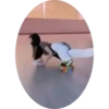 Chicas Pat - 52 Mov.1712 5